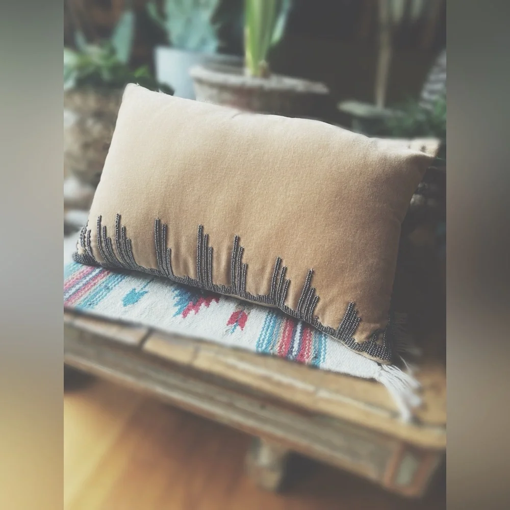 Beaded Cotton Velvet Pillow